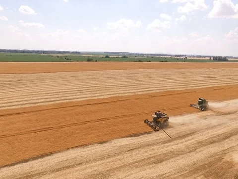 Aerial view on the combine working on the large wheat field Stock Footage 79136504