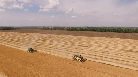 Aerial view on the combine working on the large wheat field Stock Footage 87608016