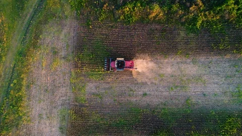 Aerial view on the combine working on the large sunflowers field Vídeos de archivo 95843778