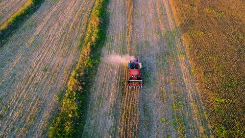 Aerial view on the combine working on the large sunflowers field Vídeo Stock 95843785