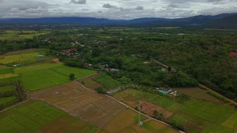 Aerial view of a communication tower and rice fields in a tropical valley Stock-Footage 334925696