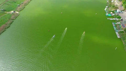Aerial view of competition between the teams on rowing boats on the pond. Stock Footage 155180266