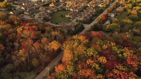 Aerial view of condominium complex, apartments buildings Video stock 141342827