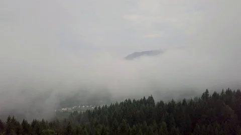 Aerial view of coniferous forest through clouds in a mountainous Stock Footage 129423372