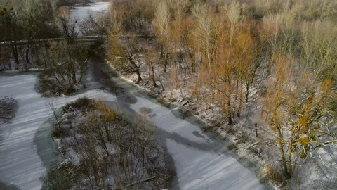 Aerial view of the coniferous forest in winter. Stock-Footage 87574033