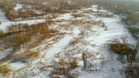 Aerial view of the coniferous forest in winter. Stock-Footage 87574044
