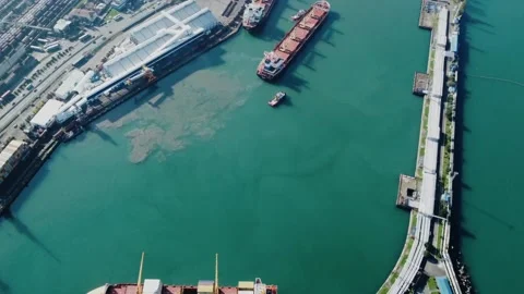 Aerial view of container port, container ship, oil pier Stock Footage 232478441