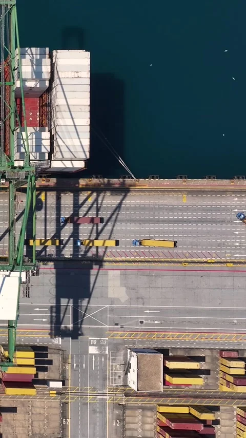 Aerial view of container terminal with cargo and shipping containers Video stock 341837344
