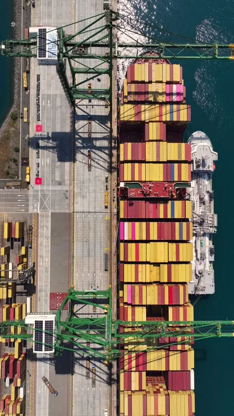 Aerial view of container terminal with cargo ships and shipping containers Video stock 341837999
