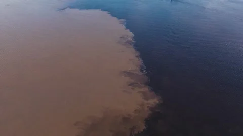 Aerial view of contrasting rivers at the Amazon confluence Stock Footage 322114685