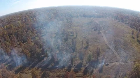 Aerial View of Controlled Fire and smoke in woods Stock Footage 43738125