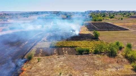 Aerial view of controlled rural fire.  Stock Footage 116771257