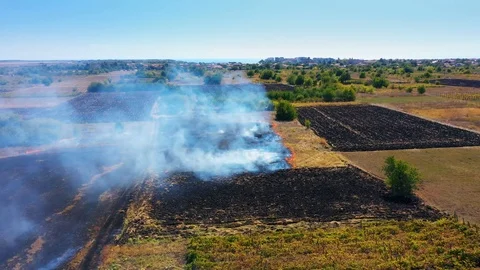 Aerial view of controlled rural fire.  Видео 116771469