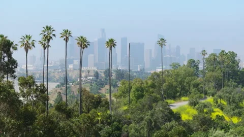 Aerial view for copy background, USA California 4K Modern city view at sunrise 스톡 동영상 250041859