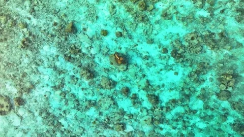 Aerial view of coral reef patterns, Maldives. Stock Footage 318060127