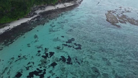 Aerial View of Coral Reef Patterns in Clear Blue Ocean Bali Video stock 332696980