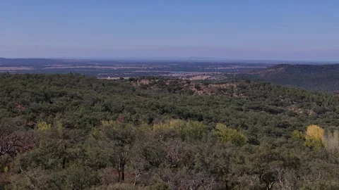 Aerial view of cork oak forest in Nossa Senhora de Guadalupe, Portugal. Stock Footage 345606353