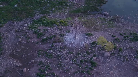 Aerial View of Cormorants Nesting in a Dead Tree on Lake Huron 動画素材 342164305