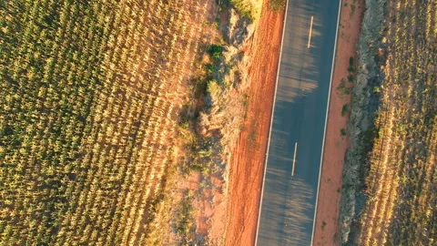 Aerial view of corn field and asphalt road Stock Footage 148127789