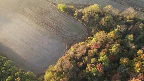Aerial view of corn field and colorful forest in rural Central Pennsylvania.. 스톡 동영상 243845391