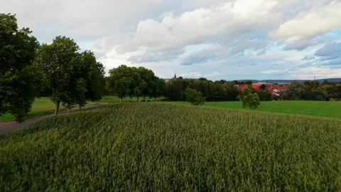 Aerial View Of Corn Field And Rural Village Stock Footage 345113567