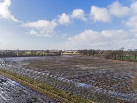 Aerial view of Corn fields after a rainy season Foto stock