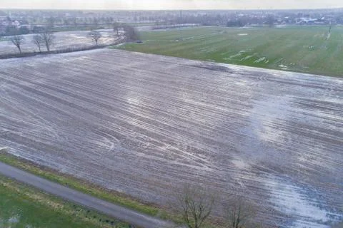 Aerial view of Corn fields after a rainy season Stock Photos