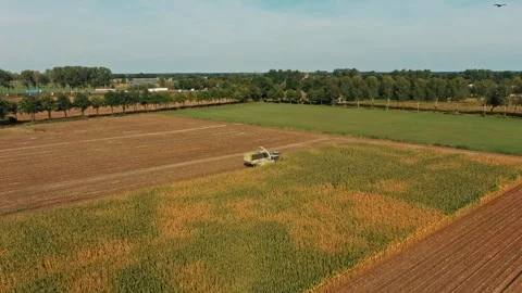 Aerial View of Corn Harvesting in the Countryside Overview Stock Footage 292621053