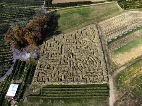 Aerial view of a corn maze Stock Photos