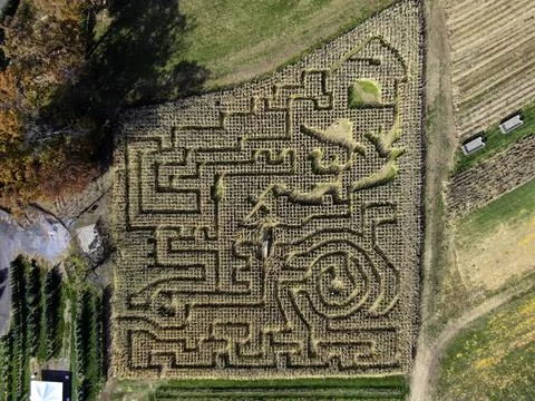 Aerial view of a corn maze Stock Photos