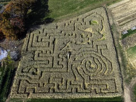 Aerial view of a corn maze Stock Photos
