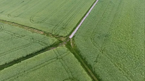 Aerial view of cornfields and tracks Stockbeeldmateriaal 64293016