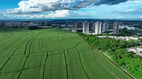 Aerial view of cornfields bordering the urban skyline of Ribeiro Preto, Brazi 動画素材 342348019