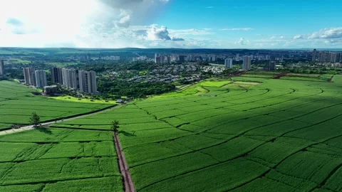 Aerial view of cornfields bordering the urban skyline of Ribeiro Preto, Brazi 動画素材 342359388