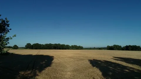 Aerial view of Cornfields landscape shot Stock Footage 91853991