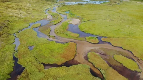 Aerial view of a Cornwall  swamp 動画素材 127215915