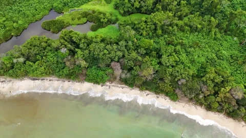 Aerial view of costa rica's lush tropical rainforest and sandy beach Stock Footage 339119002