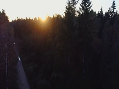 Aerial view country road in autumn forest. Stock Footage