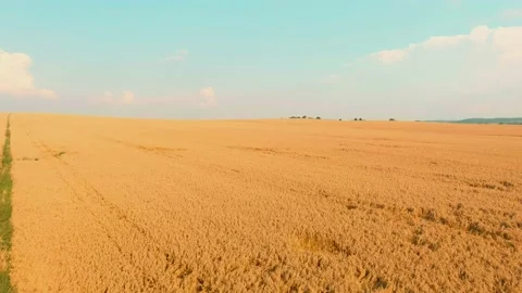 Aerial view of countryside fields on sunny summer day 스톡 동영상 166245010