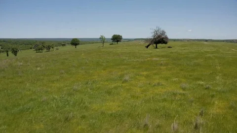 Aerial view of countryside Stock Footage 127383589