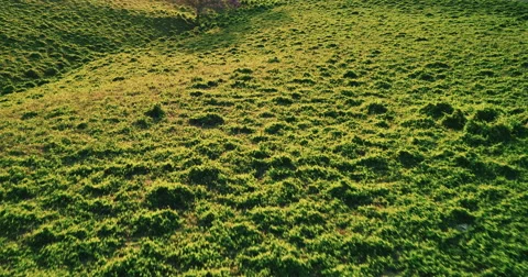 Aerial View of Countryside at Sunset Stock Footage 63578989