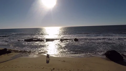 (Aerial View) Couple at the Beach Stock Footage 87106861