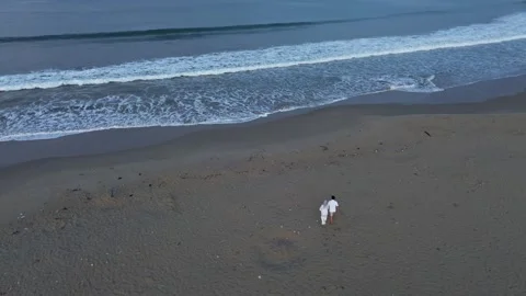 Aerial View of Couple Walking on Sandy Beach Towards Ocean Waves Stock Footage 334053583