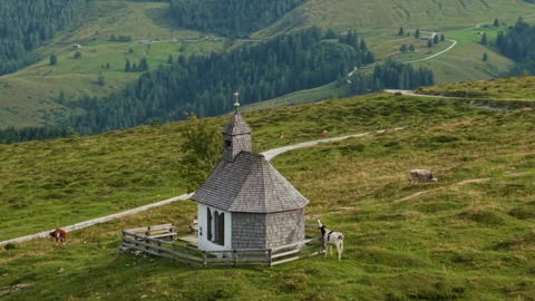 Aerial view of a cow mooing in front of Postalmkapelle chapel, Postalm, Austria Stock-Footage 337308624