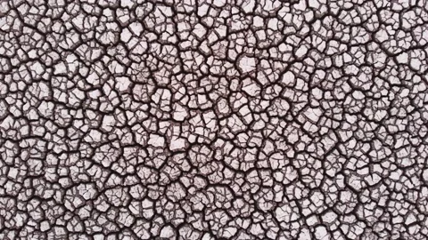 Aerial view of crackled earth texture of the dry lake Stock Footage 139398968