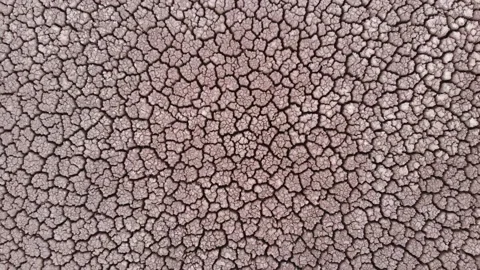 Aerial view of crackled earth texture of the dry lake Stock Footage 139399002