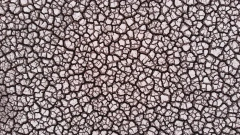 Aerial view of crackled earth texture of the dry lake Stock Footage 139399016