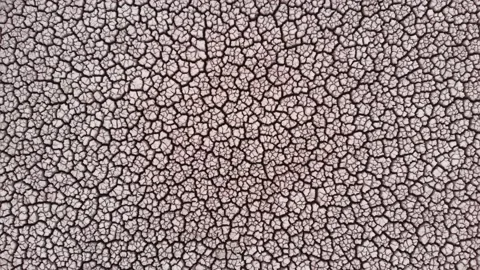 Aerial view of crackled earth texture of the dry lake Stock Footage 139399022