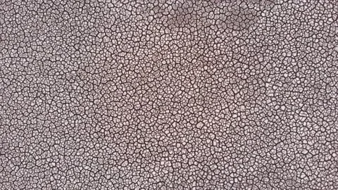 Aerial view of crackled earth texture of the dry lake Stock Footage 139399050