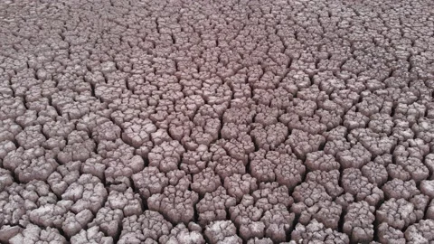 Aerial view of crackled earth texture of the dry lake Stock Footage 139399170